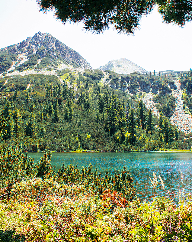 Beautiful mountain lake and beautiful trees, Bulgaria